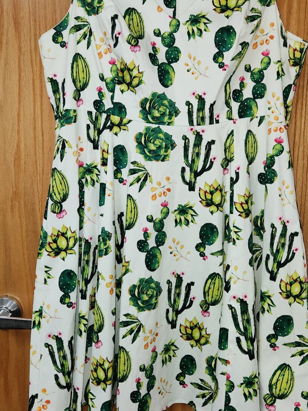 Eva Rose Cactus Succulent Dress 3X Worn Once